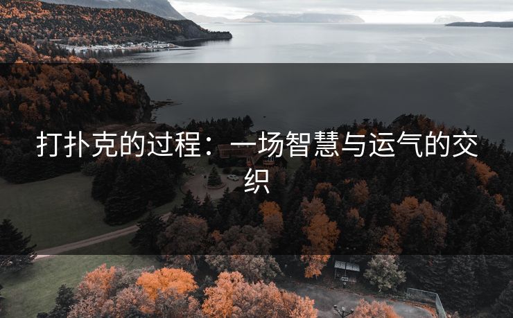 打扑克的过程:一场智慧与运气的交织 打扑克的过程:一场智慧与运气的交织