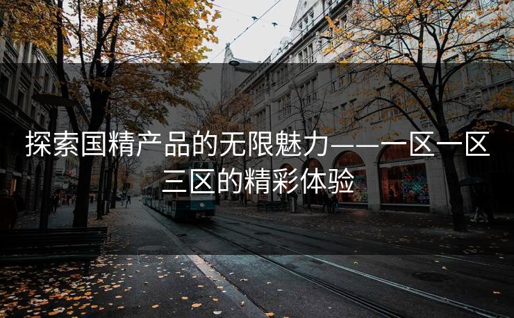 探索国精产品的无限魅力——一区一区三区的精彩体验