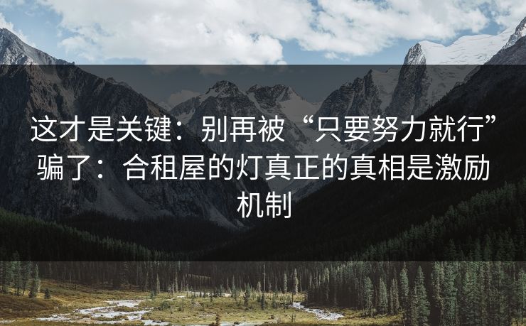 这才是关键：别再被“只要努力就行”骗了：合租屋的灯真正的真相是激励机制