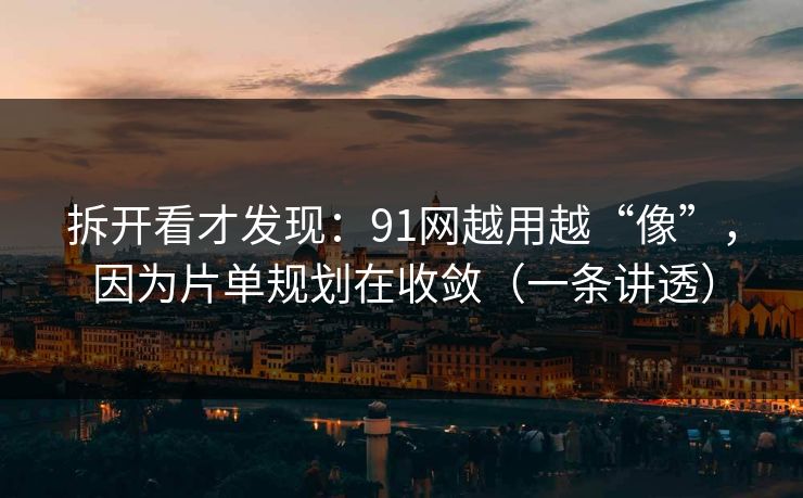 拆开看才发现：91网越用越“像”，因为片单规划在收敛（一条讲透）